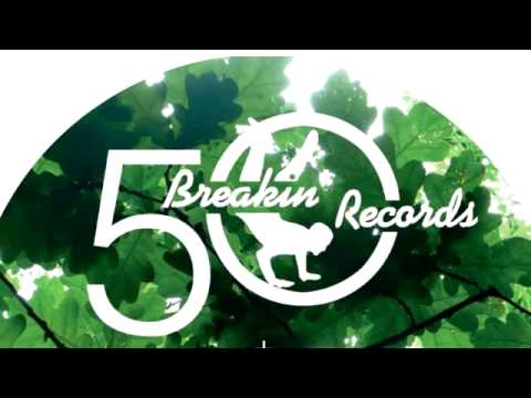 Ed DMX — 05 DMX Krew - Molten Analogue [BREAKIN RECORDS]