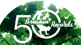 05 DMX Krew - Molten Analogue [BREAKIN RECORDS]