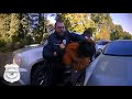 Young Adult Arrested for Assault and Property Damage