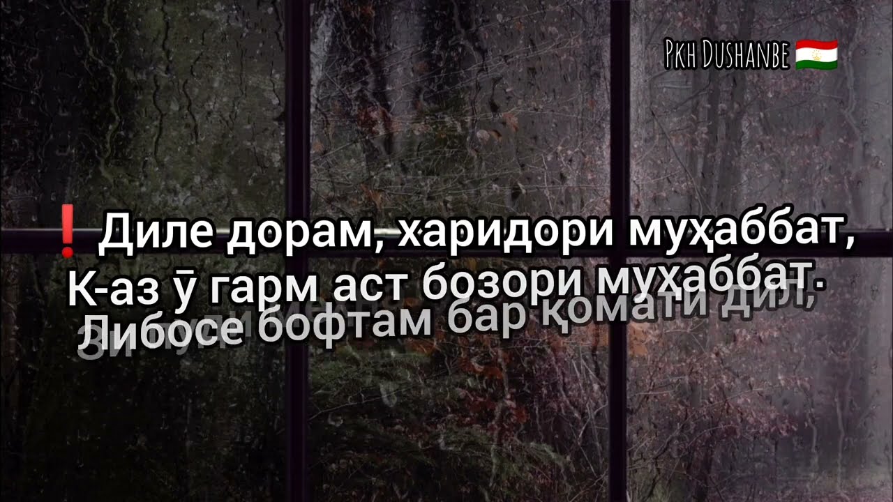 ✍️Бобо Тоҳири Урён