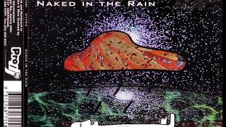 HYENA - Naked in the rain (original mix)