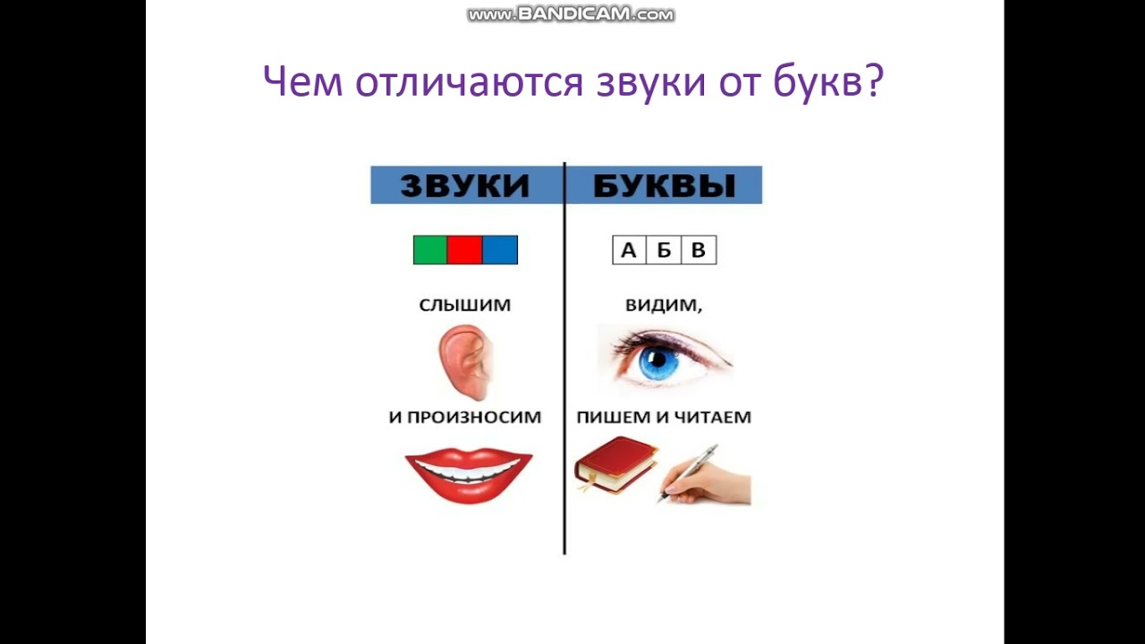 Не Путай Звуки И Буквы Не Путай Звуки И Буквы