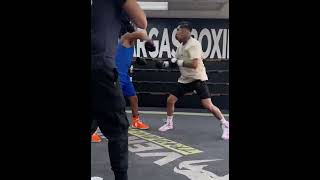 Fernando Vargas Jr INSANE handspeed on the pads 🔥 #boxing #fernandovargas #boxingtraining