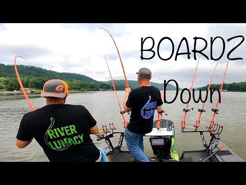 When They Really Want That Bait (Blue Catfish)