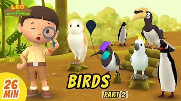 Birds Minisode Compilation (Part 2/2) - Leo the Wildlife Ranger | Animation | For Kids