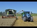 Żniwa na Podlasiu 2017 |Claas Dominator 108sl Maxi & New Holland & Zetor|