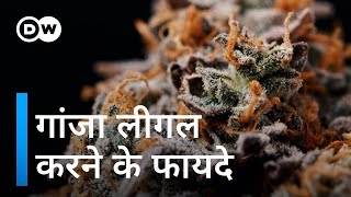 यूरोप की सबसे बड़ी इकॉनमी जर्मनी गांजा लीगल क्यों करना चाहती है? [Cannabis legal status Germany]