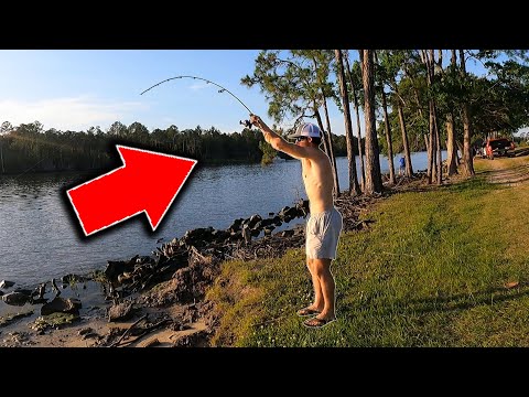 I Caught A GIANT FISH Right Next To BUSY HIGHWAY!