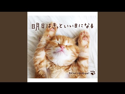 365日の紙飛行機