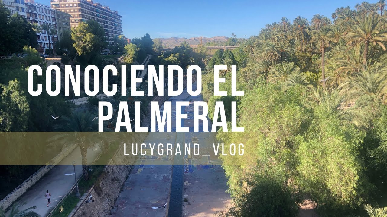 Recorriendo el Palmeral y un poco del centro de Elche, Alicante