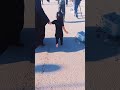 زرنه واندعينالكم توكلنه عله الله من لفينه ستوريات حالات واتساب زرنه واندعينالكم توكلنه عله الله من لفينه ستوريات حالات واتساب