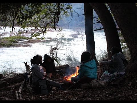 Scouting for Shelter