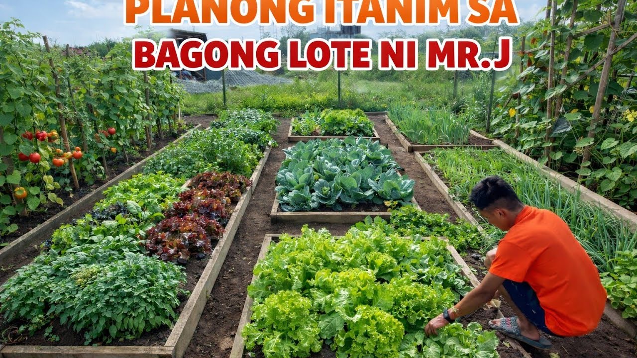 BAGONG LOTE NI MR. J NILINISAN AT MAY PLANONG ITANIM | KAPITBAHAY MAG TULONG TULONG SA PAG TANIM