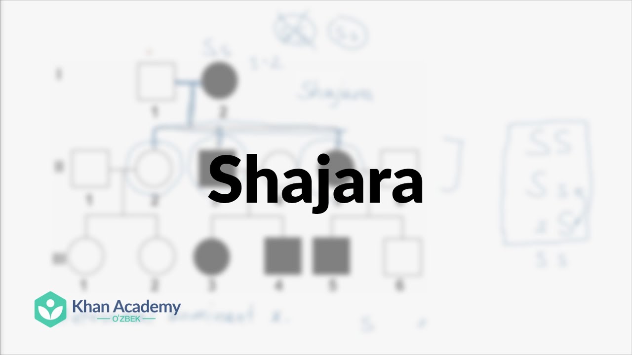 Shajara | Klassik genetika | Yuqori sinf biologiyasi
