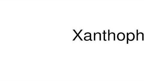How to pronounce Xanthophyceae