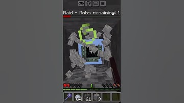 pov:you are the last pillager of raid#minecraft #gaming #memes