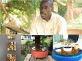 Abacyenera ubusitani butangaje, ibikoresho byo mu nzu imitako bashyizwe igorora na ‘Manu Design Ltd’