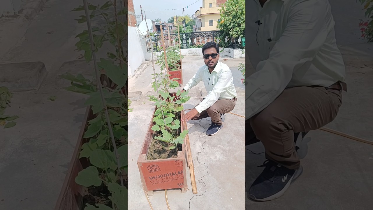 Garden boxes for vegetables | How to build a planter box for vegetables | 