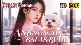Suami dan Selingkuhan Mengusirnya, Tapi Anjing Ajaib Membawa Keberuntungan yang Mengguncang Kota!
