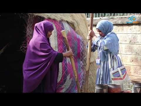 HEESA HAWLEEDKA DUMARKA SOOMAALIYEED