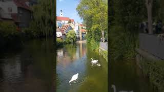 Ellerin Memleketi Kartpostal Gibi Horb Almanya