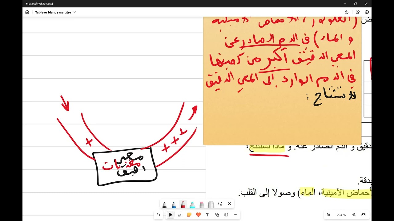 تميّز في العلوم س4م الحصة الثانية : وضعيات حول الامتصاص المعوي