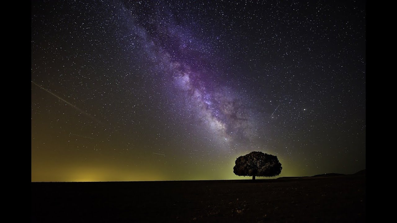 The Fifth Force of Nature