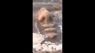 Face Of Old Father Thames Washed Away By The Tide In London