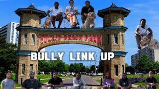 Euclid Beach Park American Bully Link Up