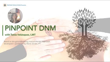 Pinpoint DNM  (DermoNeuroModulation) Introduction