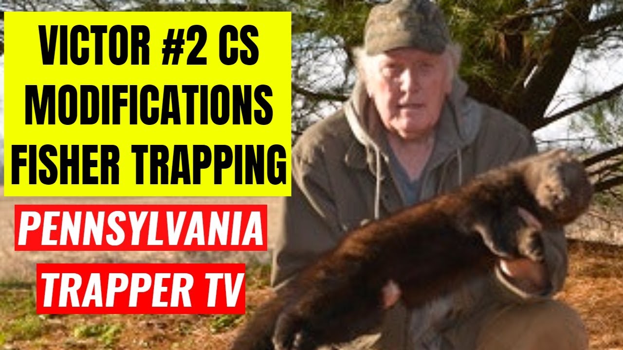 Victor R Modifications Victor #2 cs Modifications | Fisher Trapping - YouTube