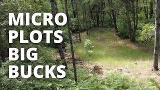 How I Create Micro Kill Plots That Attract Bucks