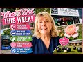 Life Over 70 Vlog | A Busy Week, Beautiful Roses & Everyday Adventures& support a new YouTuber