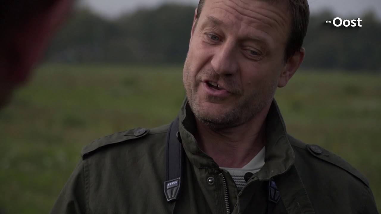 Groter dan een buizerd en de vlucht van een vlinder: de Rode Wouw is terug