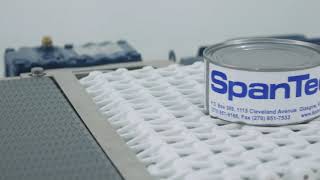 SpanTech MicroSpan Transfer Conveyor | ProPac.com