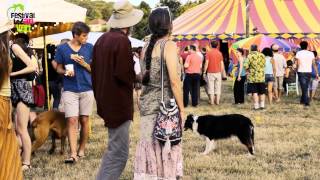 Festival Lézart Vert 2015