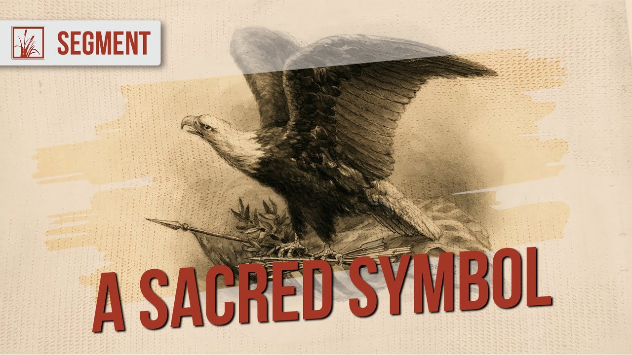 Largest Eagle Collection in the Worldin MInnesota | A Sacred