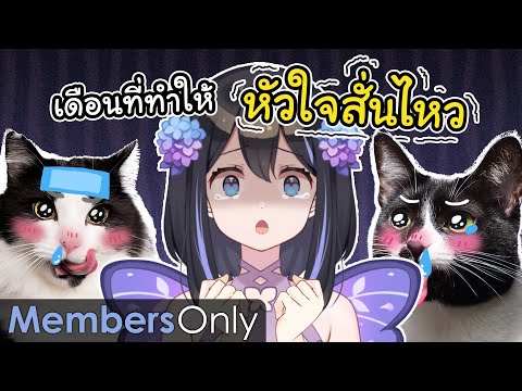 ไดอารี่ประจำเดือนของ Hanabi Lafy #7