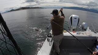 70lb Halibut!  Halibut Fishing Juneau, Alaska JUNE 2019