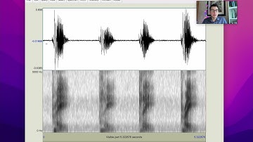 Voicelessness in Praat