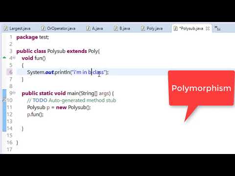 66. Polymorphism in java