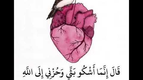 قرآن كريم بصوت الطفل الصغير انس الشهاب🌷||اجمل حالات واتس اب قرآن||