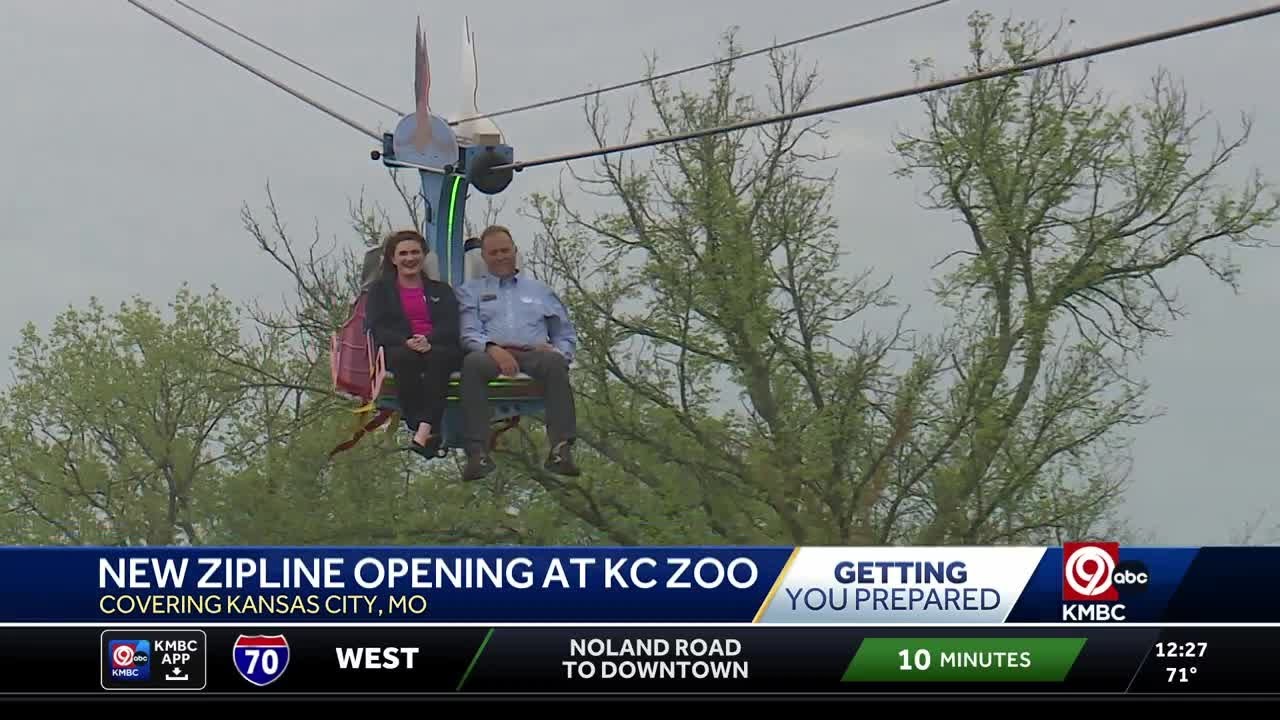 Kansas City Zoo debuts new zipline ride, the 'Flying Flamingo'