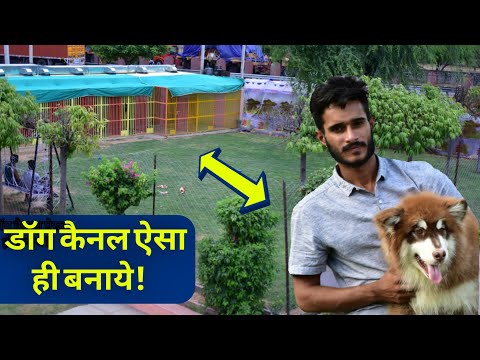 कभी-डॉग-कैनल-बनाएं-तो-ऐसा-ही|how-to-make-dog-kennel-in-india