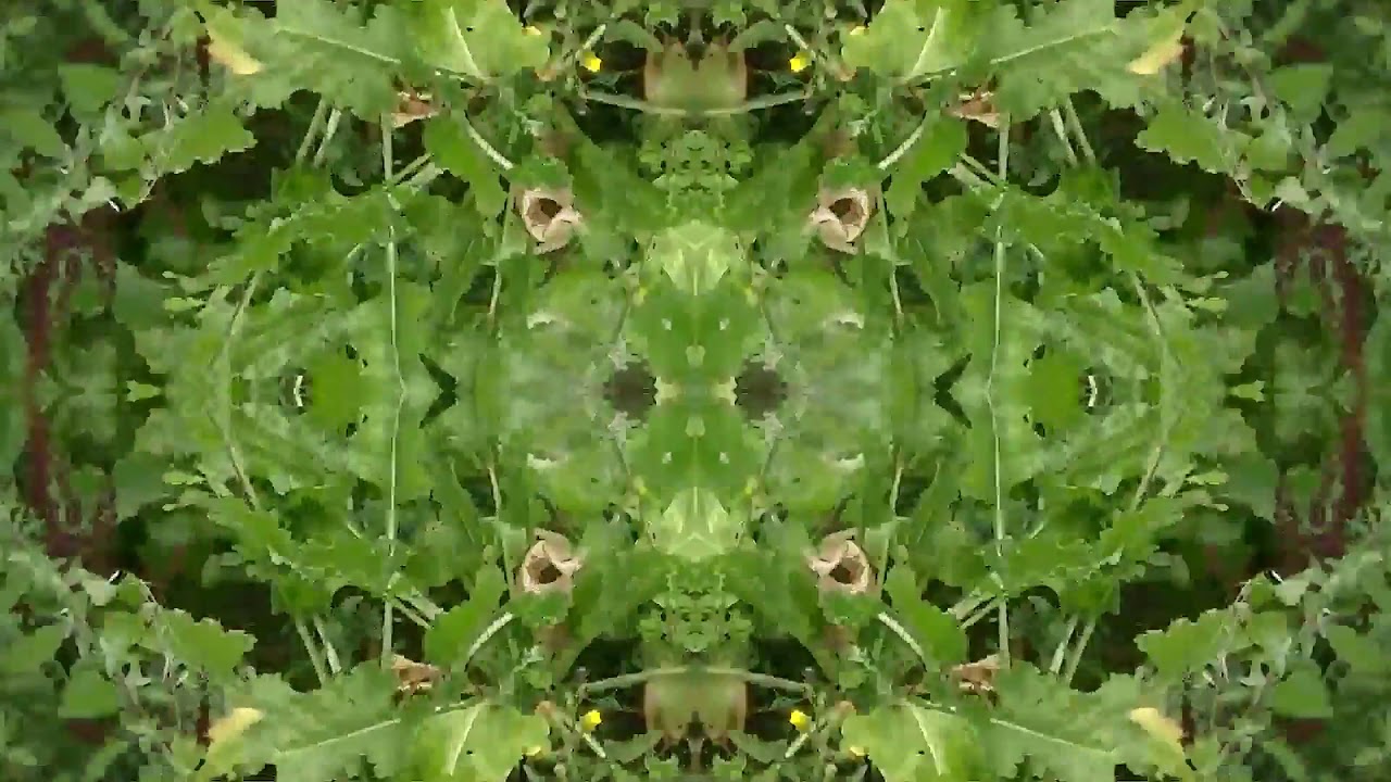 Techno Trance hypnotique !