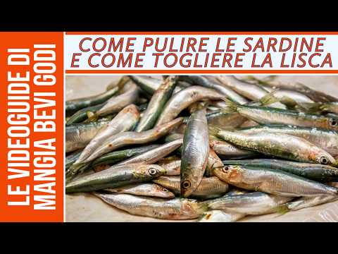 Come pulire le sardine e come togliere la lisca (VIDEOGUIDA CHIARA E DETTAGLIATA)