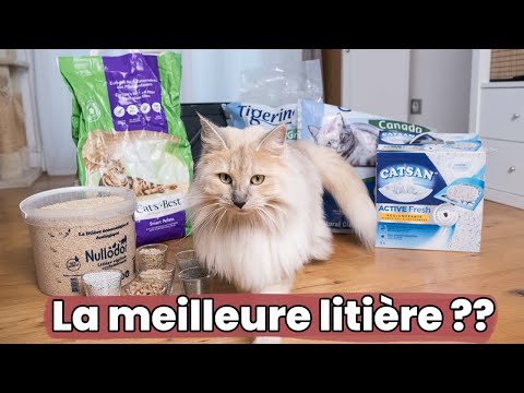 Vidéo de présentation