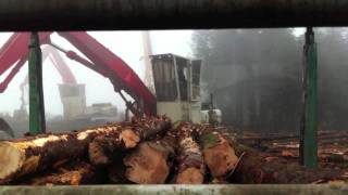 Timelapse - Loading Hemlock outside of Tillamook Oregon.