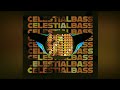 Andy brookes  celestial bassofficial song