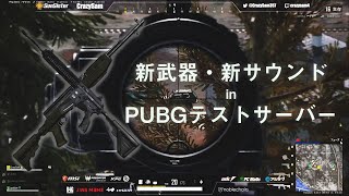 新武器 M416とsksの新サウンドを試してドンカツ Youtube